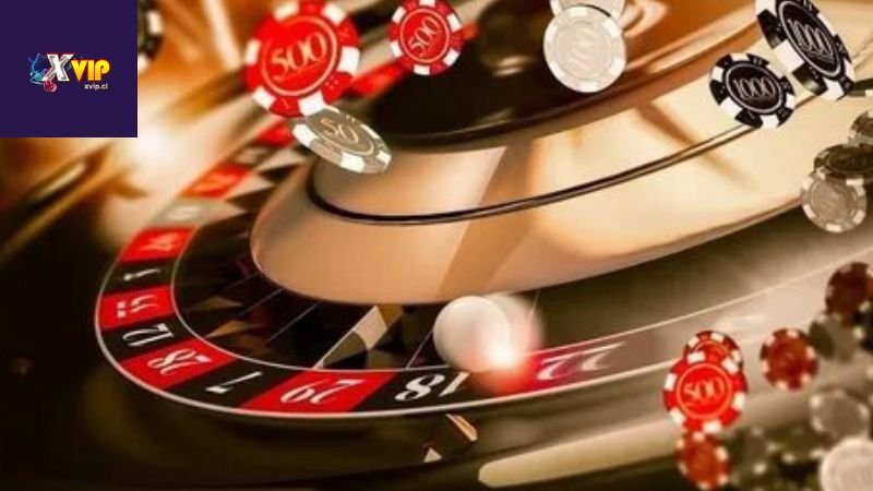 Giới Thiệu về XVIP: Cá Cược Thể Thao, Casino, Slot Hấp Dẫn 3 Cá cược thể thao tại XVIP